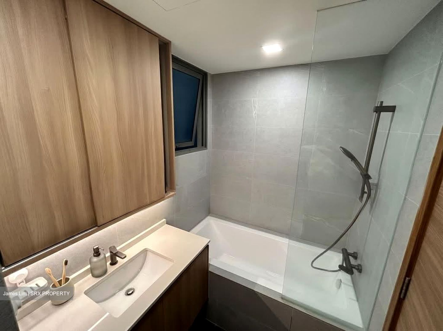 The Canopy (D27), Condominium #551122551